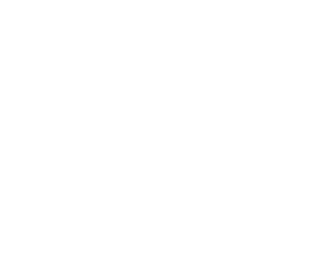 icona google-maps