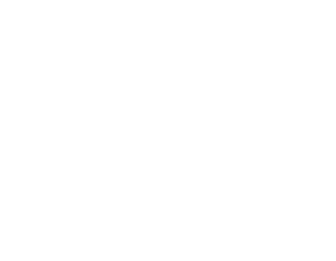 icona instagram-logo